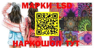 сатива Будённовск